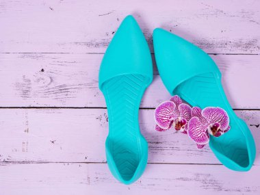 Kadın ayakkabı (düz sandalet) ahşap arka plan üzerinde. İlkbahar Yaz koleksiyonu. Düz yatıyordu. Moda kavramı. Şablon için online mağaza, kupon, teklif, promosyon, indirimler, hediye kartı, fırsatlar