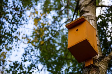 Parktaki ağaçta kuş evi