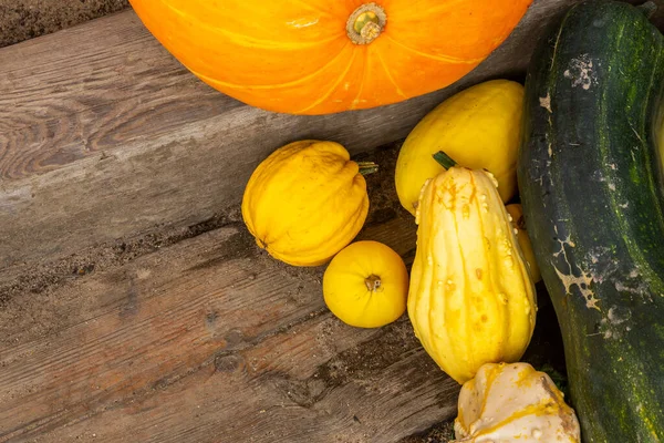 Variété Courge Potiron Courge Zuccini Courge Pattypan Lumière Jour Lumière — Photo