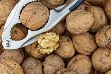 Cevizli fındıkkıran.