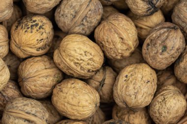 Masada çok ceviz var.