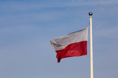 Mavi gökyüzünün arka planında dalgalanan Polonya bayrağı