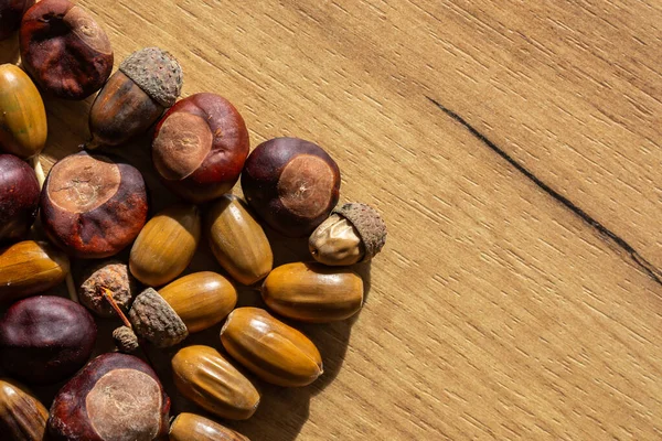 Una Miscela Castagne Ghiande Sul Tavolo Luce Naturale Dal Lato — Foto Stock