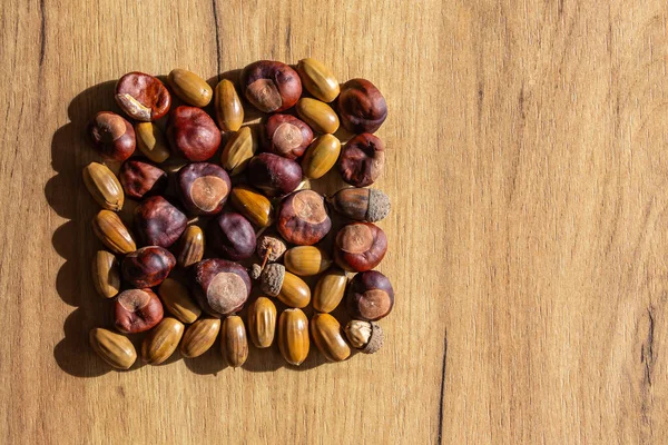 Una Miscela Castagne Ghiande Sul Tavolo Luce Naturale Dal Lato — Foto Stock