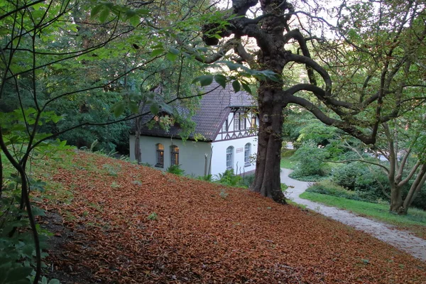 Duits Huis Het Bos — Stockfoto