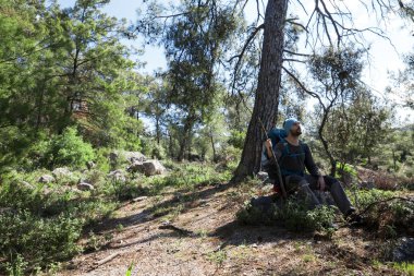 Mutlu ve yalnız adam ağaçları ile dağda hiking.
