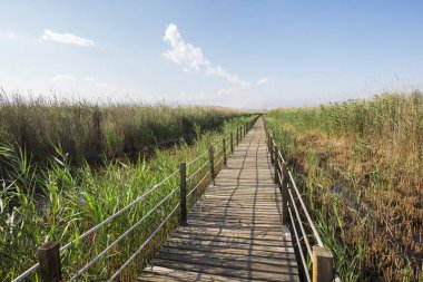 Kuş barınağında köprülü sazlar Türkiye.