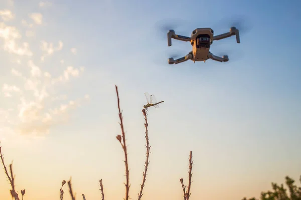 Dron Ważka Razem Technologia Inspirowana Naturą Każdym Razem Obraz Stockowy