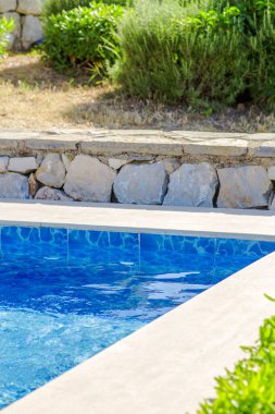 Havuz başı bitkileri ve kayalar.