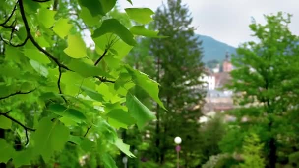 Vista Sobre Igreja Principal Baden Baden Alemanha Partir Das Árvores — Vídeo de Stock