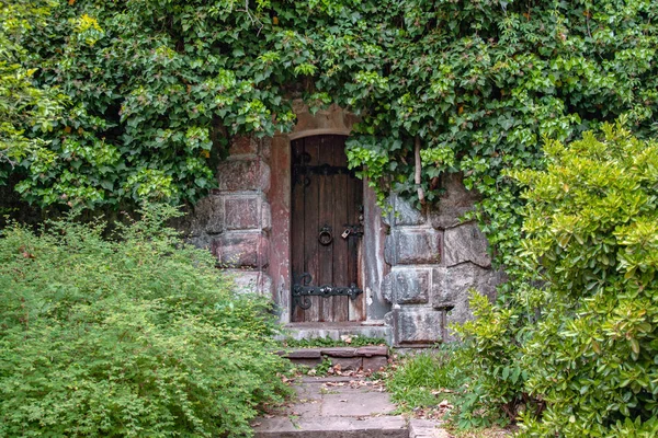 Secret old door hidden in the green garden