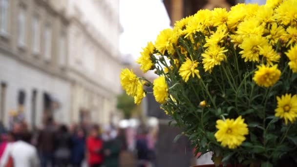 Defocused Busy Street Scene European City Old Architecture — Stock Video