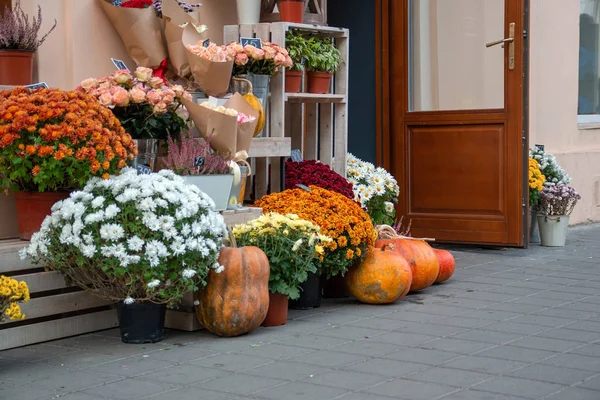 Sonbaharda sokakta çiçek dükkanı