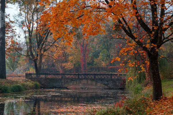 Reflexos do lago de folhagem queda e ponte antiga — Fotografia de Stock
