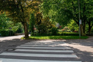 Bahar aylarında şehre yol yolu üzerinde Zebra çapraz yürüyüş