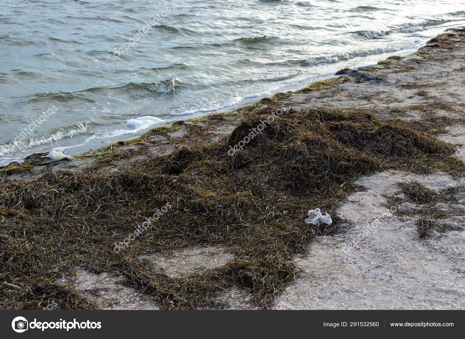 plastic bag beach