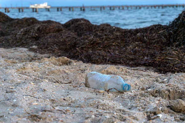 Closeup of plastic bottle laying on a beach surrounded by seawee — Stock Photo, Image