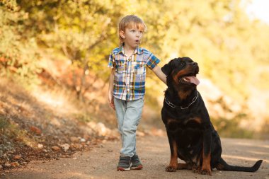 Şirin küçük bebek ve büyük köpek Rottweiler 'ı yürüyüşe çıkarıyorlar. Veteriner ilaçları, köpek ürünleri, bebek ve köpek. Veteriner ilaçları, köpek ürünleri, bebek ve köpek. Veterinerlik, köpek ürünleri, bebek ve köpek.