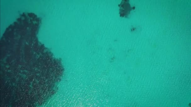 무인 항공기 보기에서 바다입니다. 새 보기 — 비디오
