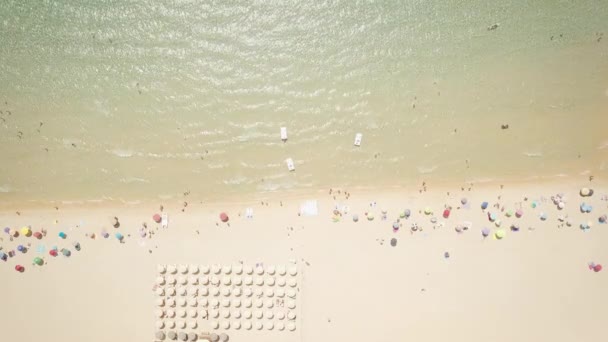 Vista del dron de una cala en Cerdeña — Vídeos de Stock