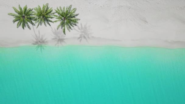 Letecký pohled na písečnou pláž. Exuma Baham — Stock video