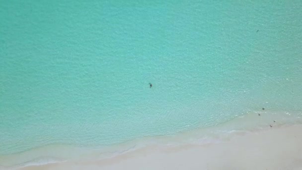 Turkuaz sularda kadın snorkeler. Exuma Bahamalar — Stok video