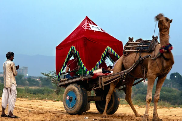 Pushkar, Rajasthan / Hindistan - Kasım 2019: Bir deve arabası ve sahibi yolculukta dinleniyor ve gezginler yolculuğun keyfini çıkarıyorlar.