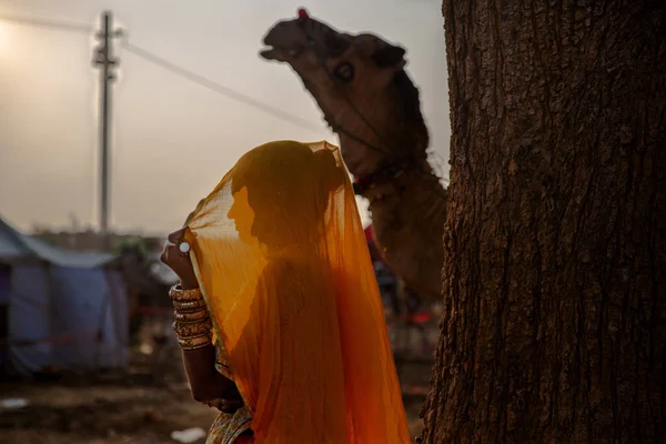 Puşkar, Rajasthan / Hindistan - Kasım 2019: Geleneksel bir kadın, Pushkar kentinde düzenlenen yıllık çoklu hayvan fuarı ve kültür festivalinde gün batımında peçe örtüyor.