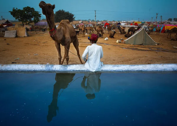 Puşkar, Rajasthan / Hindistan - Kasım 2019: Hindistan 'daki Pushkar Fuarı' nda yıllık çiftlik hayvanları fuarının sahibi ve devesi dinleniyor.