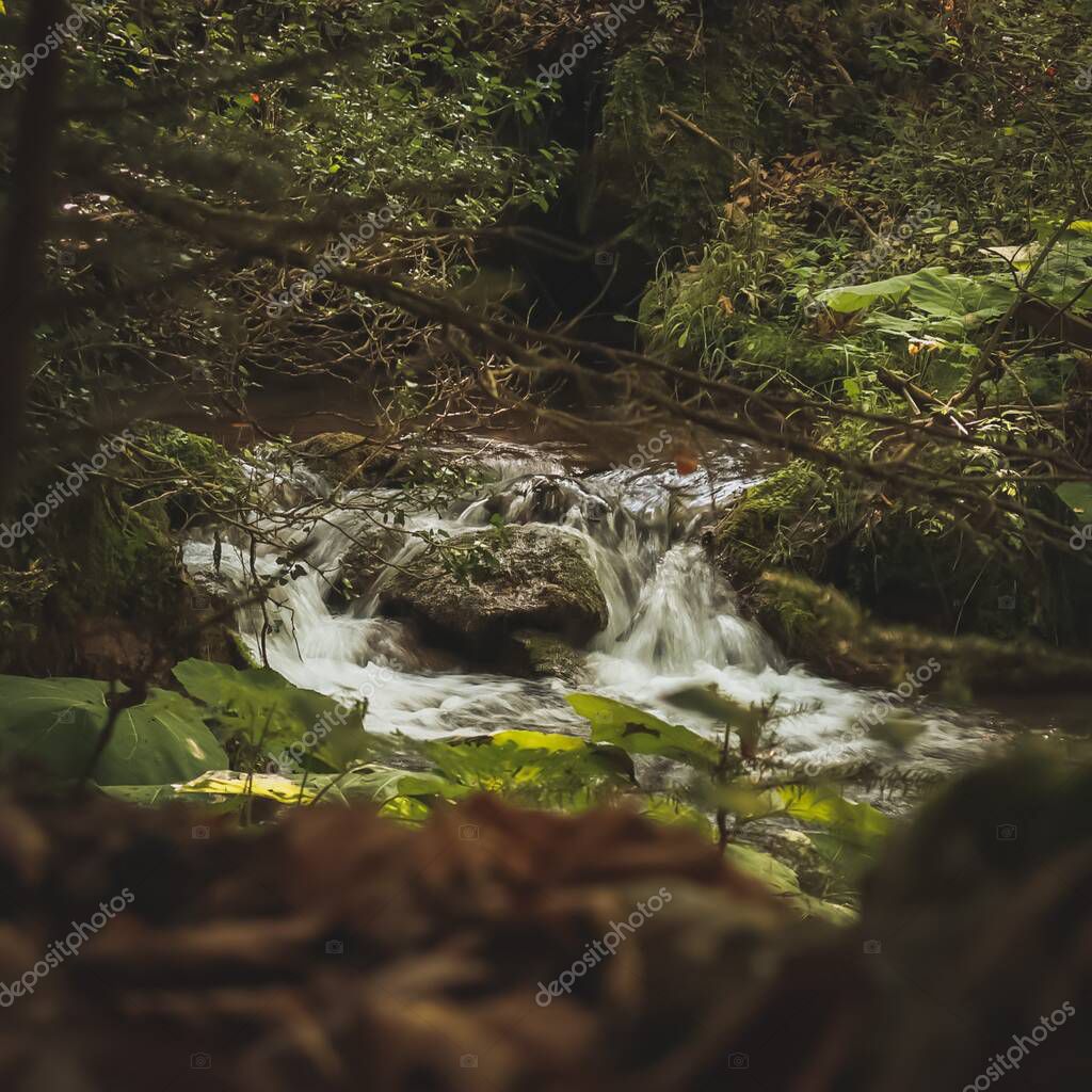 agua brota de la tierra, en una fuente natural la naturaleza nos da la