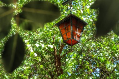 Lamba, karanlığın içindeki tek ayağı gösteren hayat ışığı.