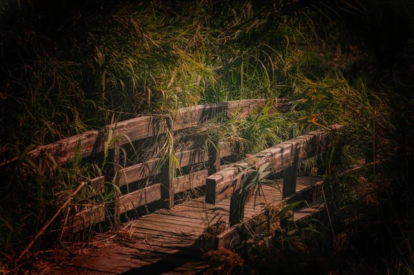 Wooden Bridge Were Painting — Stock Photo, Image