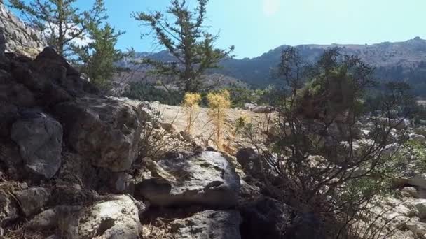 Paleo Pili Local Histórico Ilha Kos Grécia — Vídeo de Stock