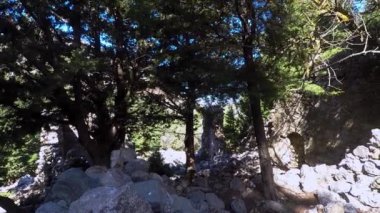 Paleo Pili 'de terk edilmiş evler Yunanistan' ın Kos adasında tarihi bir yer..