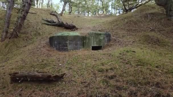Цей Покинутий Бункер Називається Тобрук Лежить Лісі Нідерландах — стокове відео