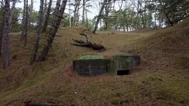 Este Búnker Segunda Guerra Mundial Llama Tobruk Encuentra Bosque Holanda — Vídeos de Stock