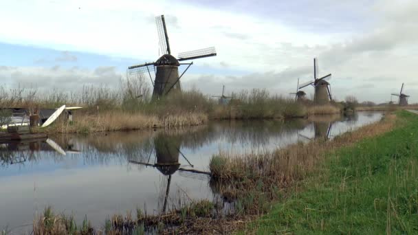 Красивые Голландские Ветряные Мельницы Киндердейке Отражаются Воде — стоковое видео