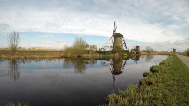 Holland Szélmalmok Kinderdijk Tükrözik Vízben — Stock videók