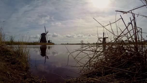 Dutch Windmills Kinderdijk Timelapse — Stock Video