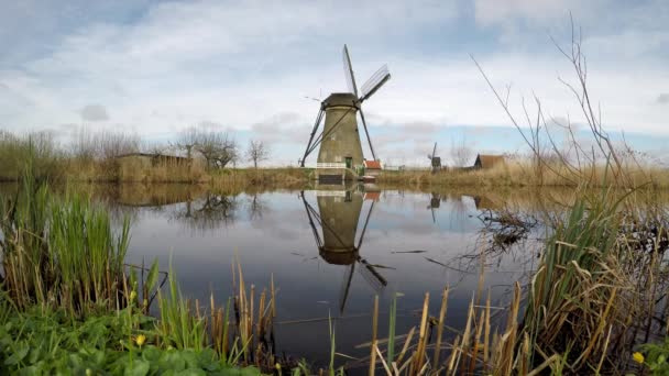 Holländische Windmühle Kinderdijk Spiegelt Sich Wasser — Stockvideo