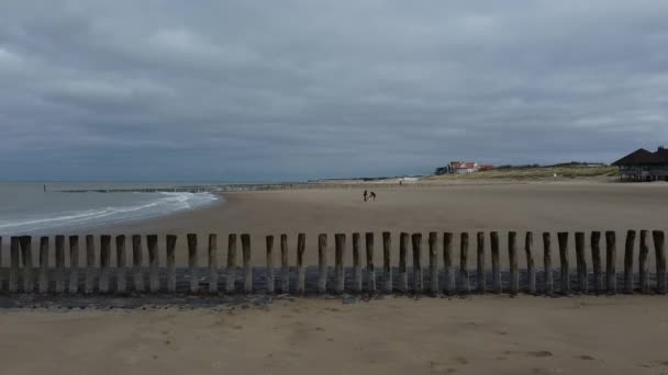 オランダの海に向かって木の棒の横にドローンを飛んで — ストック動画