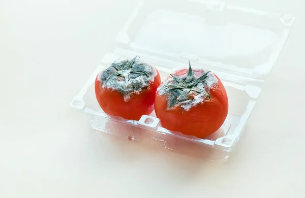 Selective Focus Mould Red Tomato Rotten Product Spoiled Vegetable Healthy — Stock Photo, Image