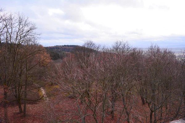 View Observation Tower Plana — Stock Photo, Image