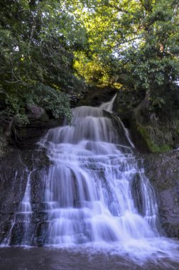 Dzhurin nehrinde 16 metre çağlayan Dzhurinsky şelalesinin manzarası. Ukrayna 'nın en büyük sade şelalesidir. Nyrkiv, Ternopil bölgesi, Ukrayna