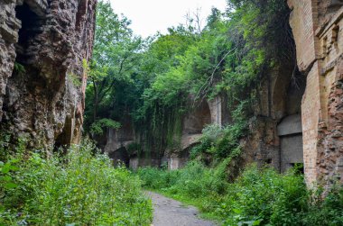 Ukrayna 'nın Rivne bölgesindeki Tarakaniv Kalesi' nin Tuğla Duvarları ve Harabeleri.