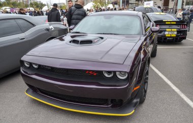 Koyu mor Dodge Challenger RT, Amerikan kaslı arabası klasik retro stili modern performansla harmanlayarak spor akortlu süspansiyon ve güçlü frenler sunuyor.