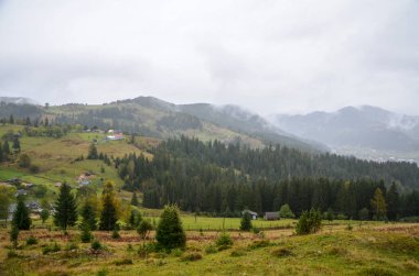 Huzurlu kırsal manzara, sakin bir dağ olan Verkhovyna köyünü verimli tarlalar ve çevreleyen ormanlık tepeler arasında sergiliyor, hepsi de dingin sisli gökyüzü altında, sakin ve resimli bir manzara yaratıyor. Ukrayna