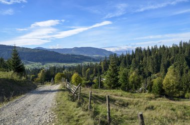 Etrafı çitlerle çevrili, yeşil alanlar, sık ormanlar ve mavi gökyüzünün altındaki uzak tepelerle çevrili, dinginliği ve doğayla bağlantıyı çağrıştıran, huzurlu kırsal bir arazi. Karpatlar
