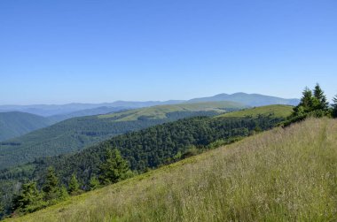 Yamaçların sakin güzelliği yeşilliklerle kaplı, ormanlarla çevrili. Doğanın özünü yakalayan bu görüntü, sükunet ve açık havanın harikalığını yayar. Karpat Dağları