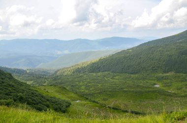 Bereketli yeşil bitki örtüsü, bulutlu ve parlak gökyüzünün altında çimenli dağ yamaçlarıyla çevrili huzurlu vadiyi kaplıyor. Bu da doğa severler ve doğa meraklıları için uyumlu ve huzurlu bir manzara yaratıyor.